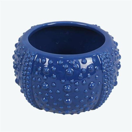 PATIO TRASERO Ceramic Shell-Shaped Bowl & Planter PA3285917